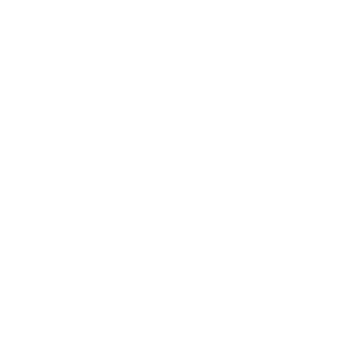 vinyl